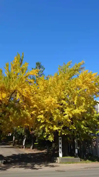 相馬神社(北海道)