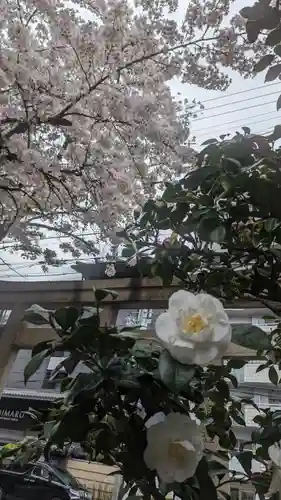 菅大臣神社(京都府)