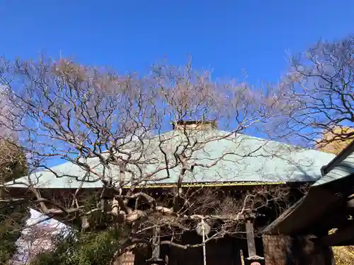 影向寺(神奈川県)