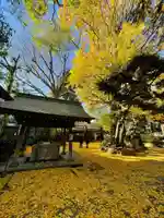奥澤神社の手水舎