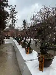 菅原天満宮（菅原神社）(奈良県)