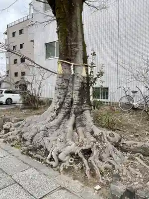 安井金比羅宮(京都府)