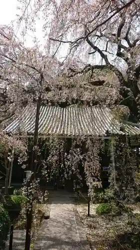 専称寺の本殿