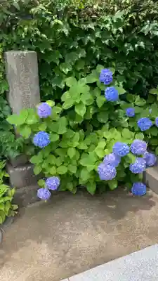 泥牛庵(神奈川県)