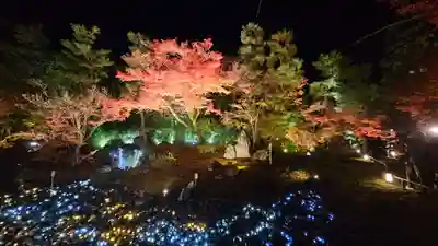 宝厳院(京都府)