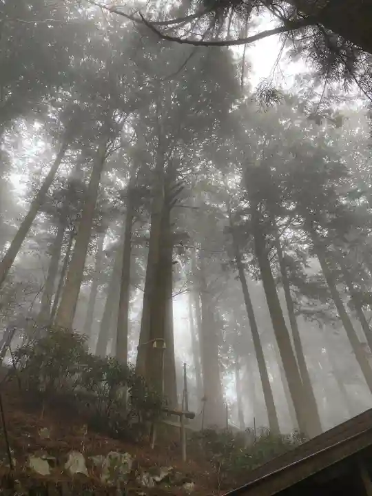 三峯神社(埼玉県)