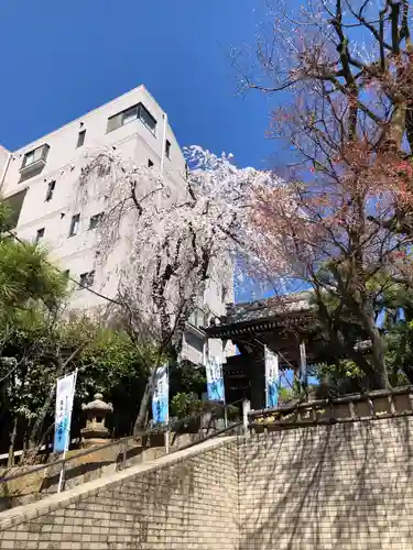 法輪寺の山門