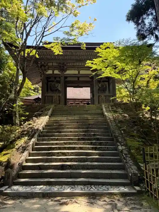西明寺の{uncategorized: "未分類", other: "その他", undefined: "問題あり", building: "その他建物", grave: "お墓", sacred_gate: "鳥居", guardian: "狛犬", statue: "像", buddha: "仏像", history: "歴史", nature: "自然", garden: "庭園", animal: "動物", pagoda: "塔", temizu: "手水舎", mountain_gate: "山門・神門", sanctuary: "本殿・本堂", subordinate: "末社・摂社", art: "芸術", scenery: "景色", jizo: "地蔵", ema: "絵馬", goshuin: "御朱印", omikuji: "おみくじ", items: "授与品その他", amulet: "お守り", goshuincho: "御朱印帳", eats: "食事", festival: "お祭り", votive_dance: "神楽", shichigosan: "七五三参", wedding: "結婚式", experience: "体験その他", initially: "初詣", around: "周辺", anti_infection: "感染症対策"}