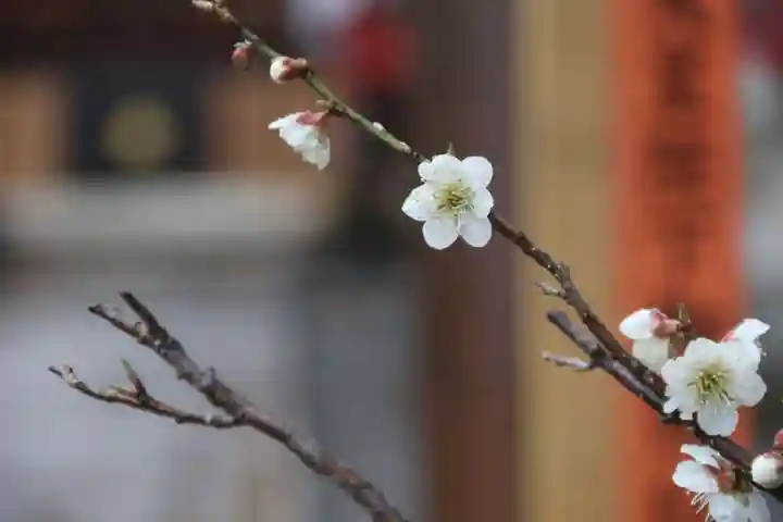 大鏑神社の庭園