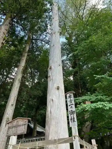 諏訪大社(長野県)