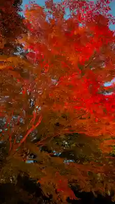 出雲大神宮(京都府)