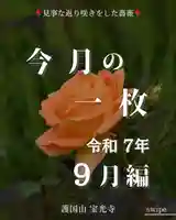 宝光寺(北海道)