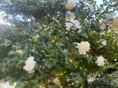 長谷寺(奈良県)