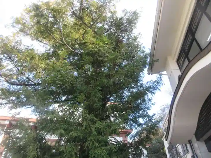 乗蓮寺(神奈川県)