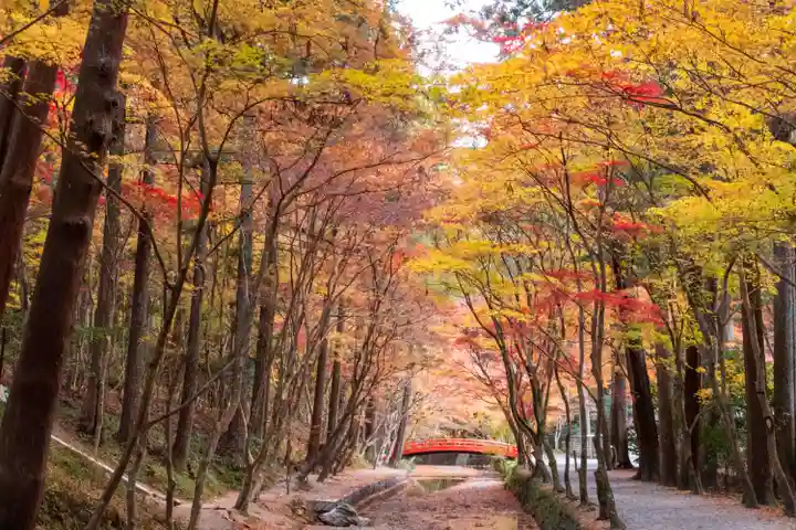 小國神社(静岡県)