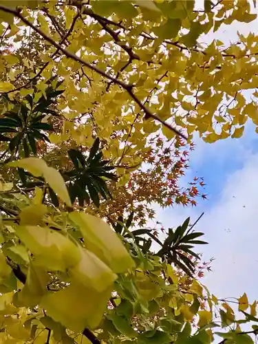 木食寺安祥院(京都府)