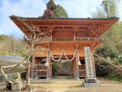 蓮花寺の山門