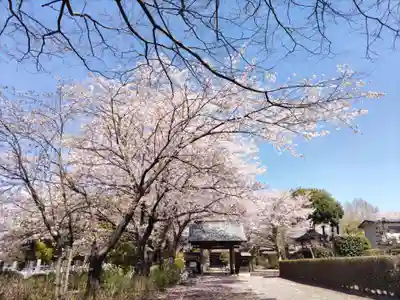 大翁寺の自然