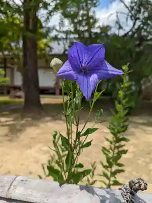  智積院(京都府)