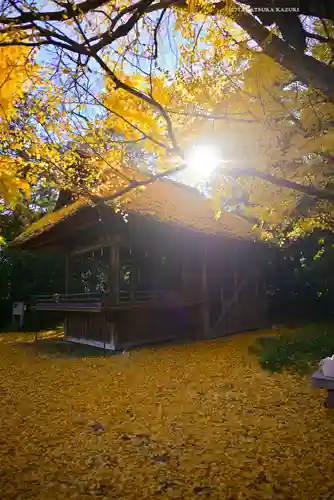 玉敷神社(埼玉県)