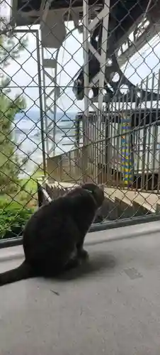 千光寺(広島県)