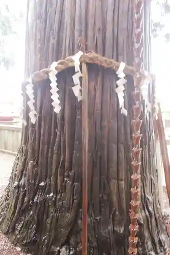 鼬幣稲荷神社のその他建物