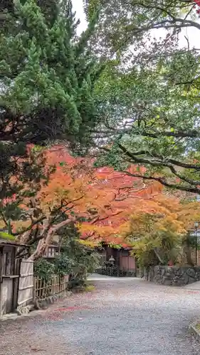 長岡天満宮(京都府)