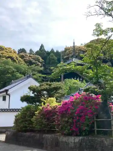 當麻寺(奈良県)