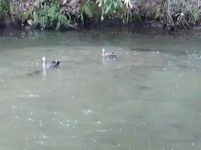戸ノ口堰水神社(福島県)