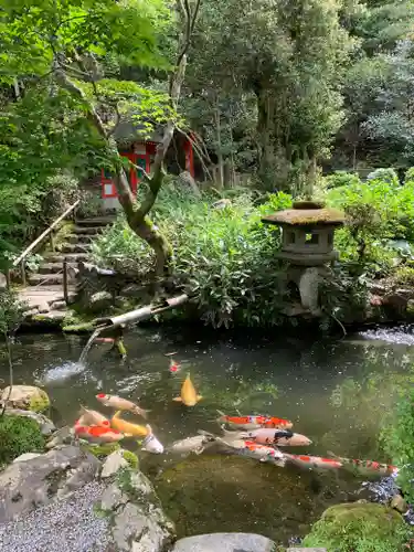 一條殿 新善光寺の庭園