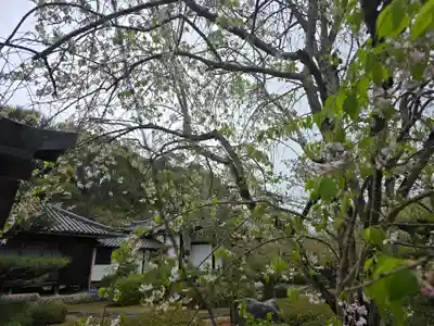 蓮花院(和歌山県)