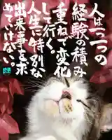 専念寺(大阪府)