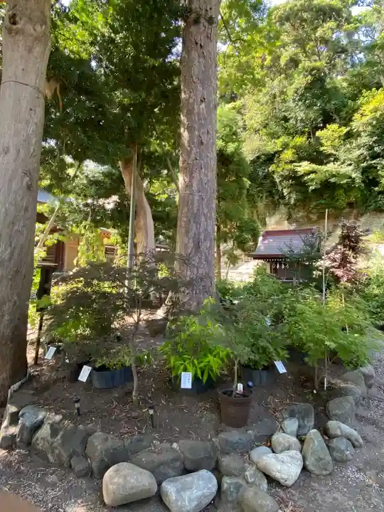 瀬戸神社の自然