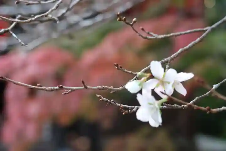 赤山禅院(京都府)
