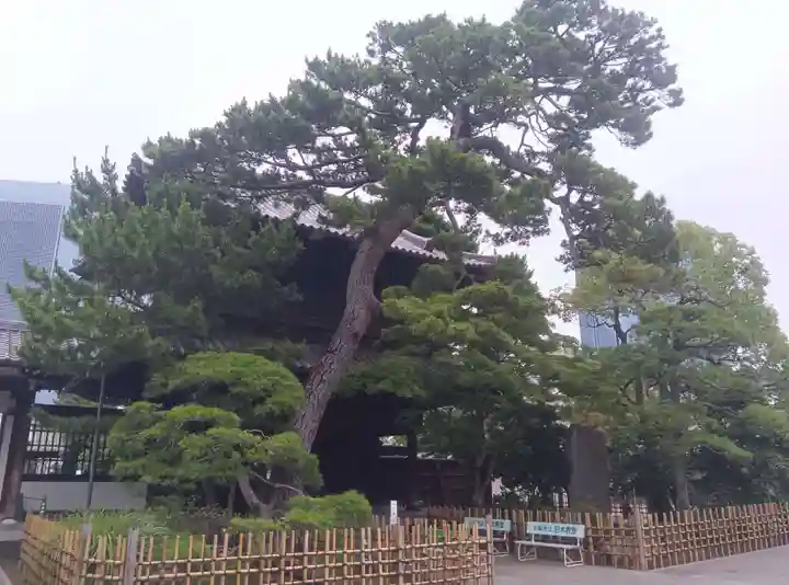 泉岳寺(東京都)