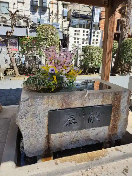 柏神社(千葉県)