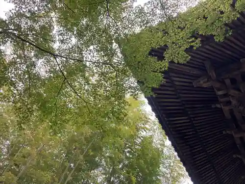 修禅寺(静岡県)