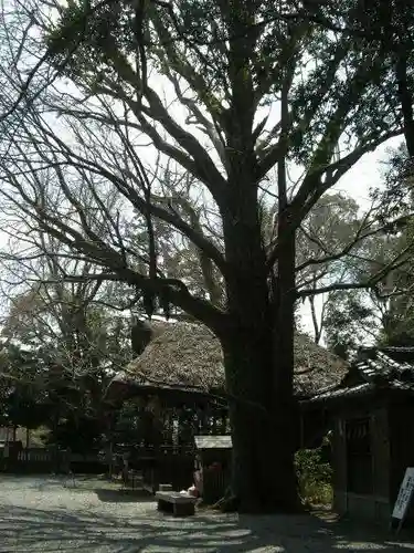 玉敷神社のその他建物