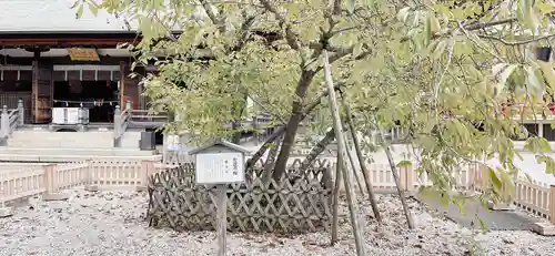 上地八幡宮の庭園