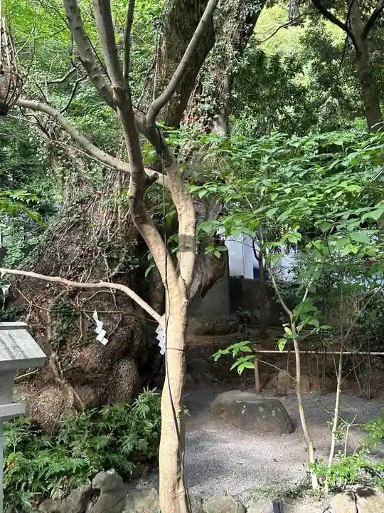 來宮神社(静岡県)