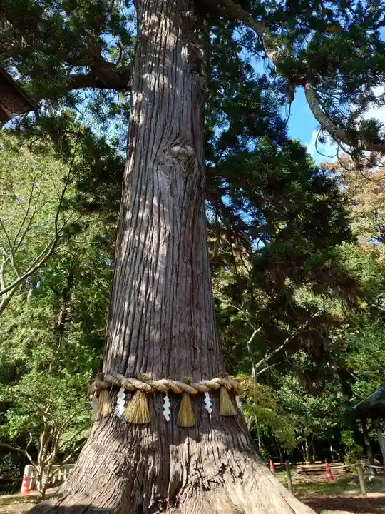 志波彦神社・鹽竈神社(宮城県)