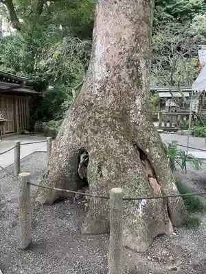 荏柄天神社(神奈川県)