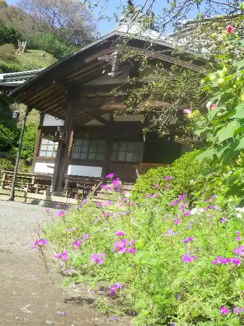 海蔵寺の本殿・本堂