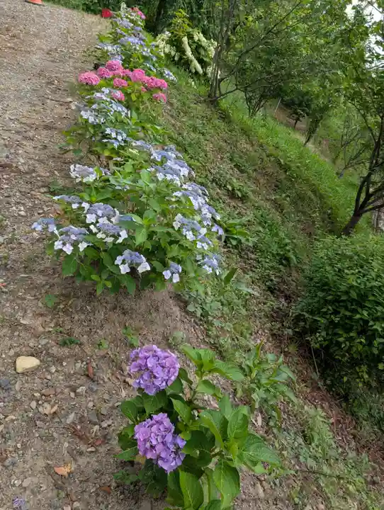 阿久津「田村神社」(郡山市阿久津町)旧社名:伊豆箱根三嶋三社(福島県)