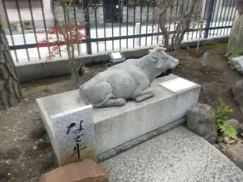 六波羅蜜寺の狛犬