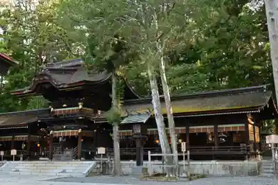 諏訪大社下社秋宮(長野県)