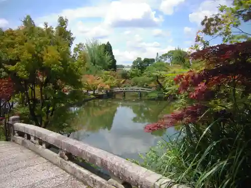 禅林寺（永観堂）の庭園