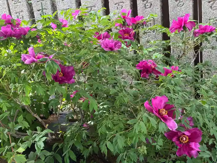 観音寺(徳島県)