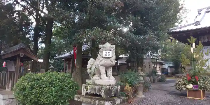 大井神社の狛犬