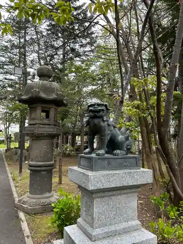 岩見澤神社の狛犬